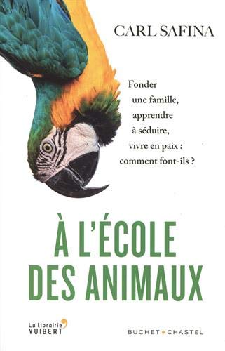 A l'école des animaux: fonder une famille, apprendre à séduire, vivre en paix: comment font-ils ?