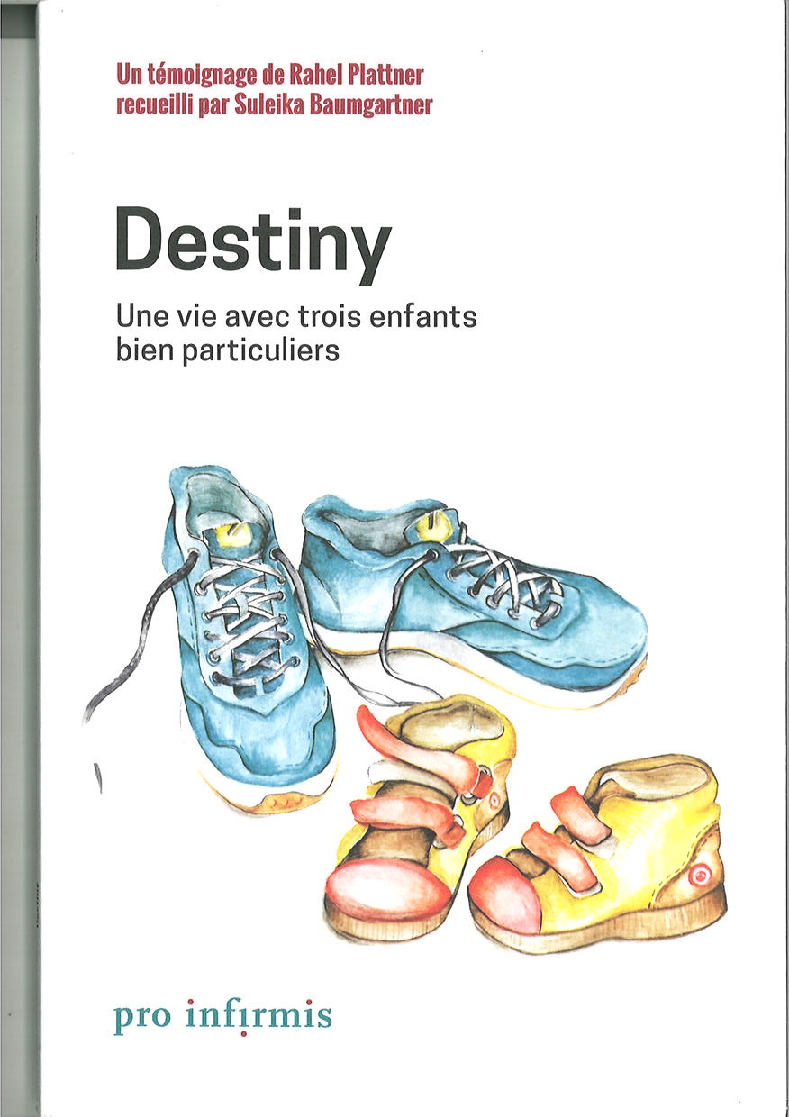 Collection de récits de vie: 6: Destiny: une vie avec trois enfants bien particuliers