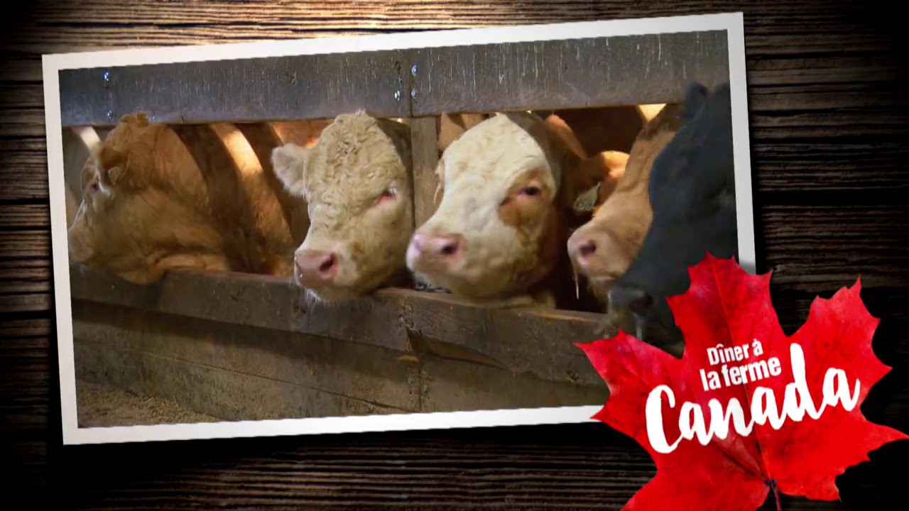 Dîner à la ferme, au Canada [saison 2]: 02: Anita Gurtner, de Danville