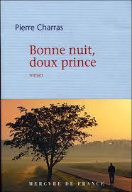 Bonne nuit doux prince: roman