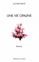 Une vie opaline: roman