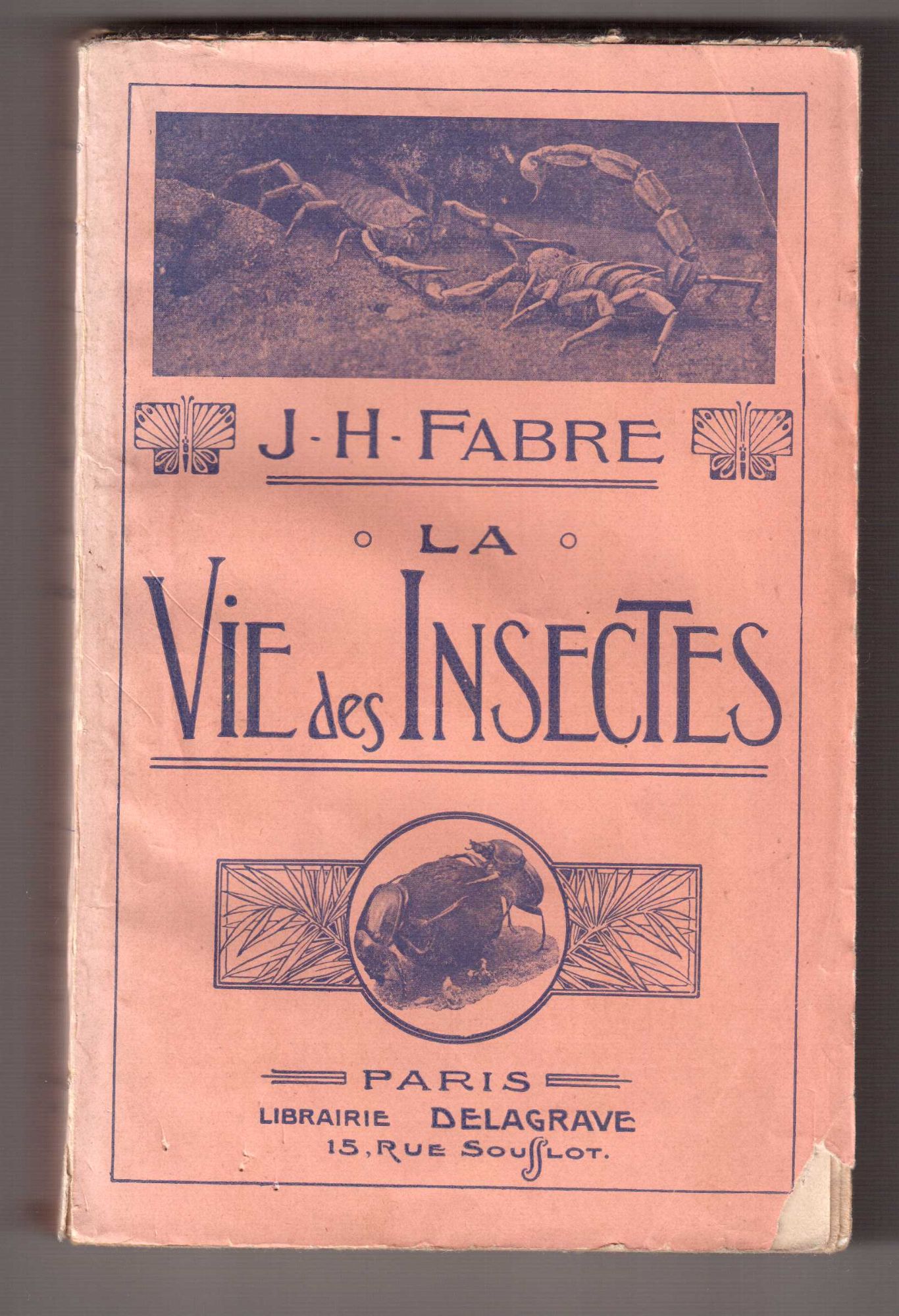 La vie des insectes