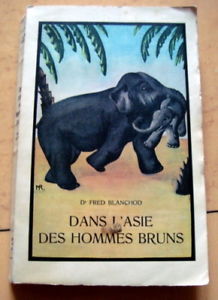 Dans l'Asie des hommes bruns: voyage aux Indes