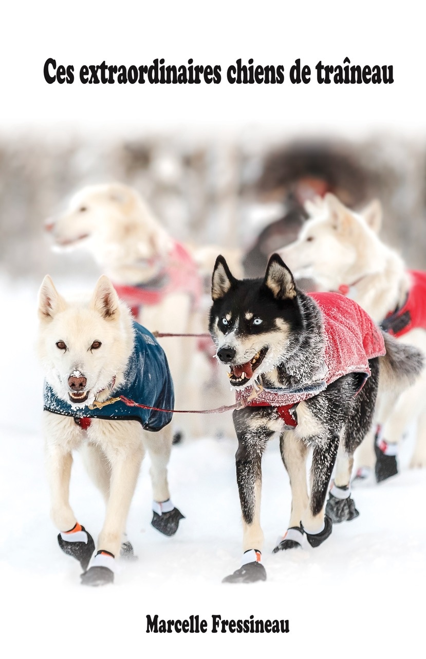 Ces extraordinaires chiens de traîneau