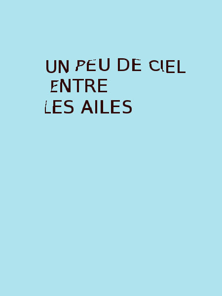 Un peu de ciel entre les ailes: deuxième recueil